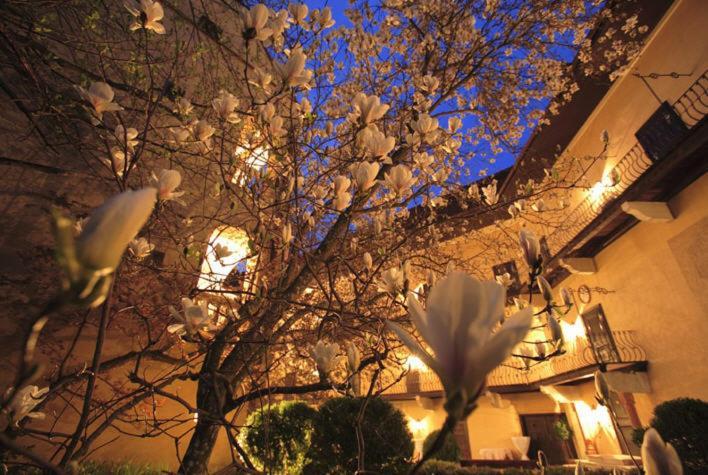 Schlosshotel Obermayerhofen Sebersdorf Buitenkant foto