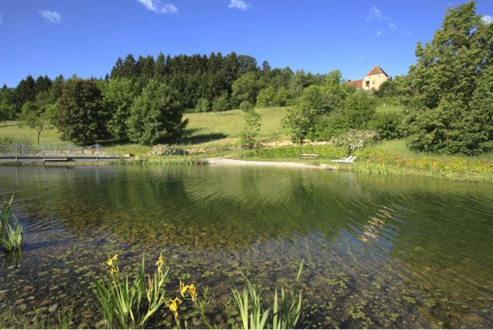 Schlosshotel Obermayerhofen Sebersdorf Buitenkant foto